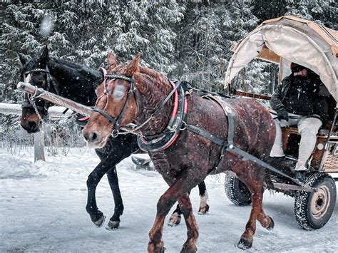 10 Best Activities in Zakopane in the Winter: Our 2024 Guide