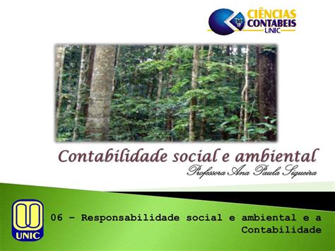 PPT Contabilidade Social E Ambiental PowerPoint Presentation Free