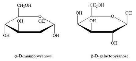 Formula For Alpha D Galactose Haworth