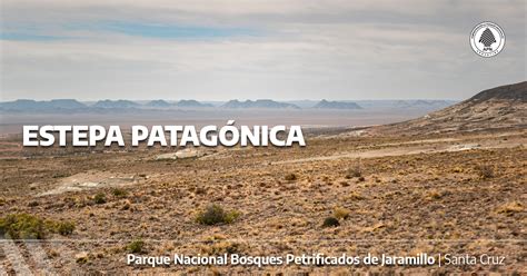 Parques Nacionales on Twitter Las áreas protegidas que conservan