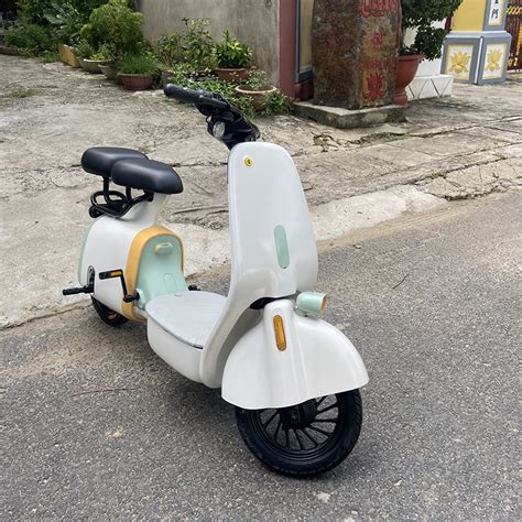 Xe Đạp Điện Hot Trend V Ah SPW Thiết Bị Ô Tô Nhập