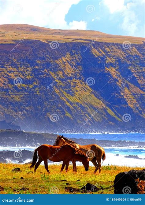 Chile, Pacific Ocean, Easter Island Stock Photo - Image of chile ...