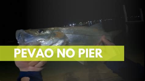 Robalo Peva no jighead pescando no píer do rio YouTube