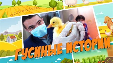 Домашняя птица на Кубани. Гусиные истории - YouTube