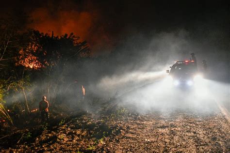 Pantanal registra 1º semestre maior número de focos de incêndio