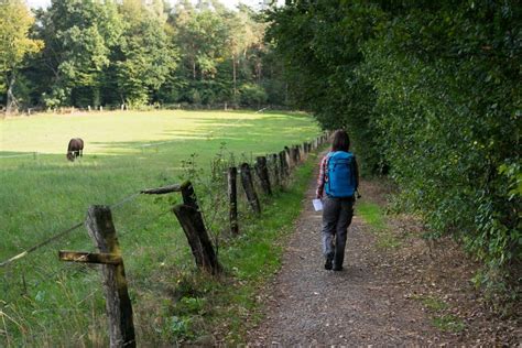 Wandelpad Hermannsweg Net Over De Grens In Duitsland Mountainreporters