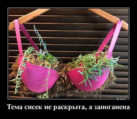 Тема сисек не раскрыта а запоганена - выпуск №1022385