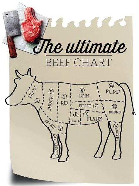 Cow Meat Chart