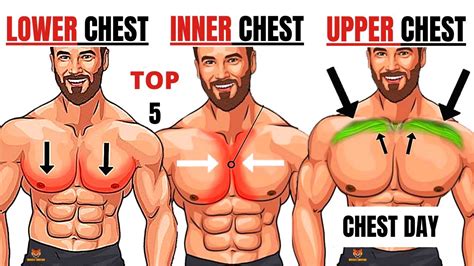 Top Inner Lower And Upper Chest Workout At Gym Meilleurs Exs