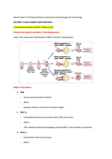 Week Notes T Cell Subsets Memory And Vaccines Haematology And