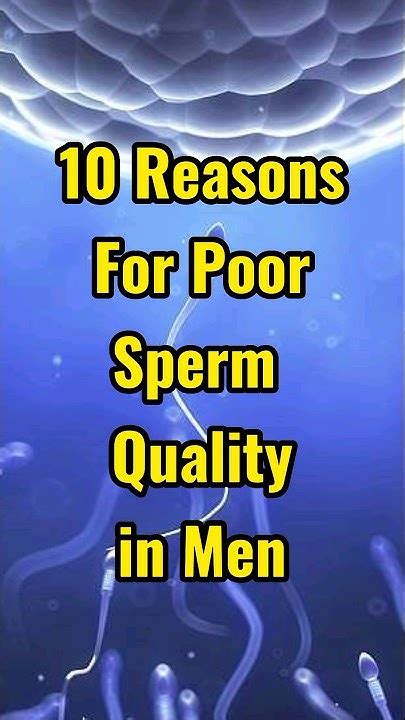 10 Reasons For Poor Sperm💦 Quality In Men🧔 Shorts Viral Trendingshorts Youtube