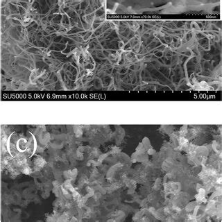 A B Sem Images Of Mwcnts At Different Magnifications C Sem Images