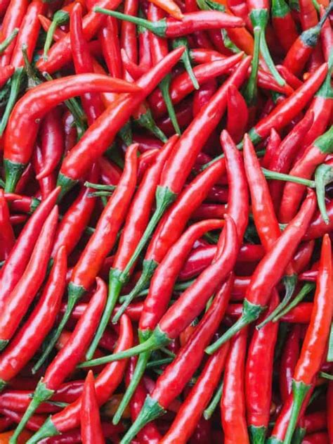 Web Stories of Spicy Recipes - Chili Pepper Madness