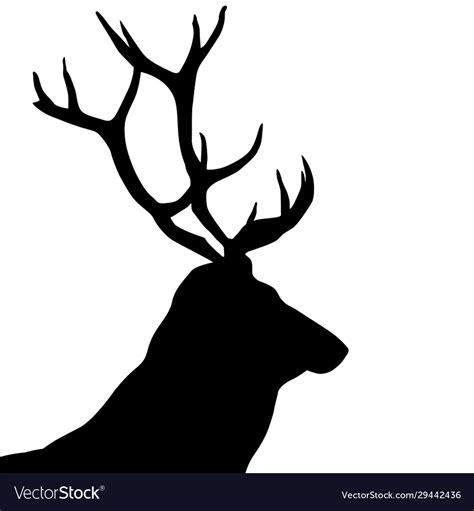 Black Silhouette A Deer Head And Antlers Vector Image