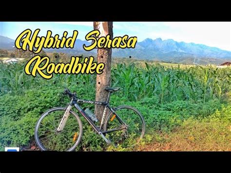 Sepeda Hybrid Rasa Roadbike Sepeda United Felipe YouTube