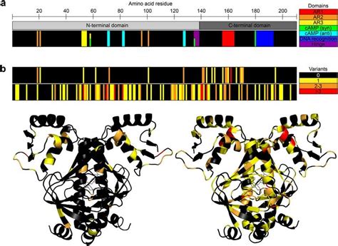 Illustration Of Adaptive Mutations Identified In Crp A The Locations