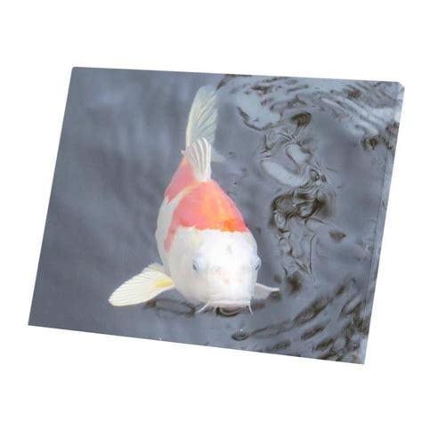 Tableau D Coratif Carpe Koi Blanche Et Rouge Lac Japon Poisson Cm X