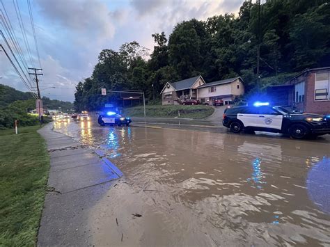 Fans react to Wheeling dog track results today and new odds 17