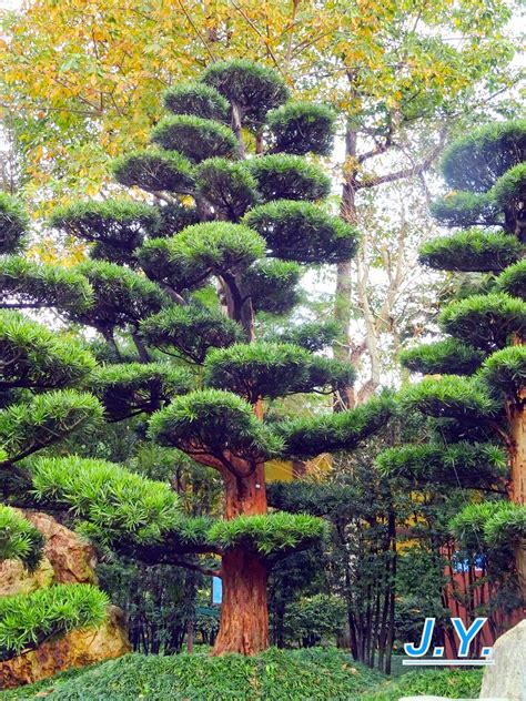 nan lian garden 5