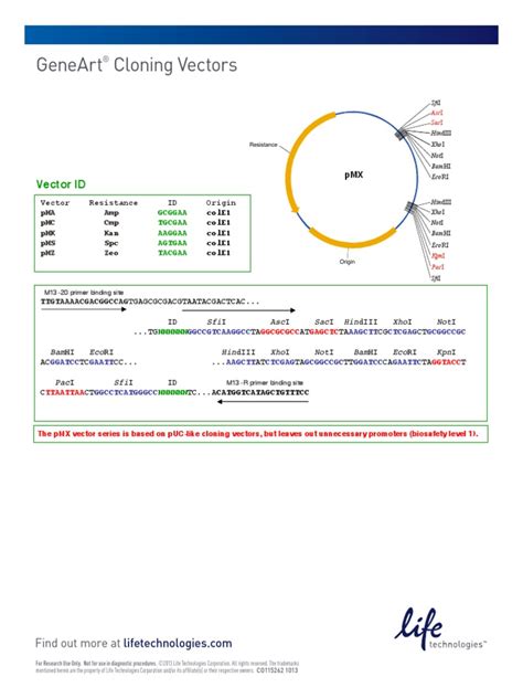 Geneart Vector Map | PDF | Life Sciences | Biology