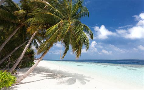 Vilamendhoo Island Resort Maldives All-Inclusive Package + Snorkeling