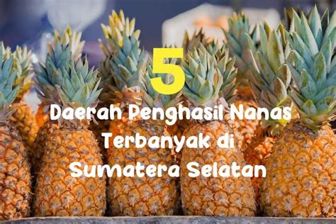 5 Daerah Penghasil Nanas Terbanyak Di Provinsi Sumatera Selatan