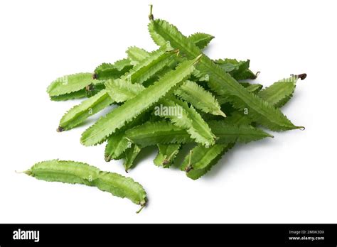 Pile Of Winged Beans Also Known As Cigarillas Manila Or Four Angled