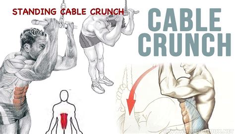 How To Do Standing Cable Crunch, Benefits, Tips | Exercises Guide