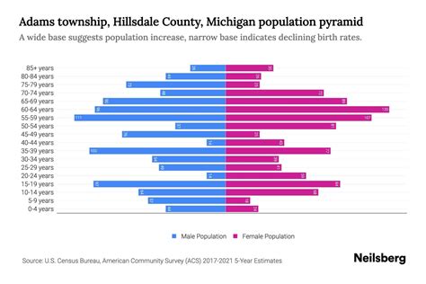 Adams Township Hillsdale County Michigan Population By Age 2023