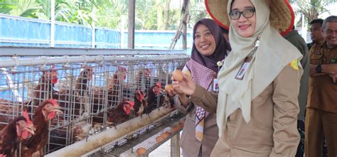 Berita BSIP Riau BSIP Riau Hadiri Grand Opening Teaching Factory SMKN