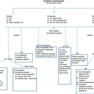 Algorithmic Approach To The Differentiation Of Verrucous Lesions On