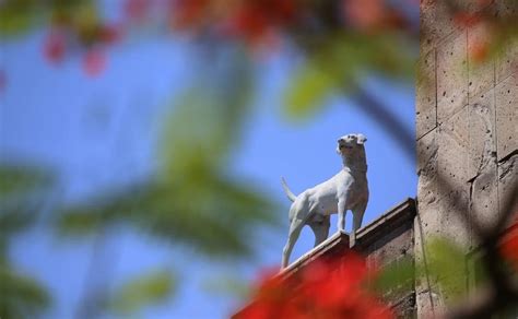 Pron Stico Clima Guadalajara Jalisco Hoy De Agosto