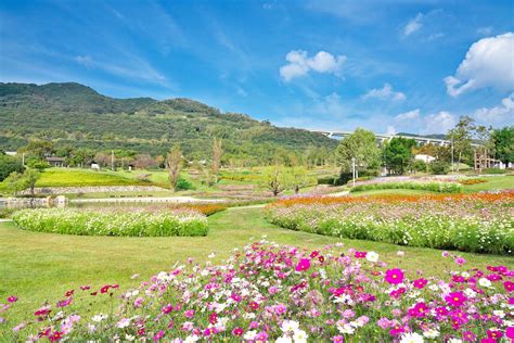 淡路島観光の人気スポット27選！子連れ旅やデートにもおすすめのスポットをご紹介 海外旅行、日本国内旅行のおすすめ情報 ベルトラ