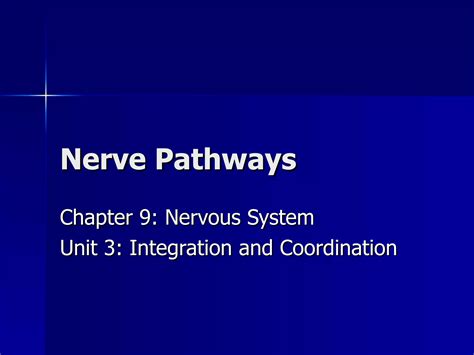 Nerve pathways | PPT