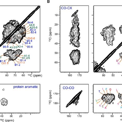 DNP Enabled 2D Correlation Spectra Of Unlabeled A Fumigatus Solid