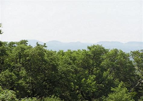 1000+/- Acre Ranch Blanco County, Texas