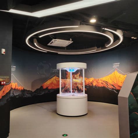 Cooperative Ball Movement: Interactive Teamwork Installation