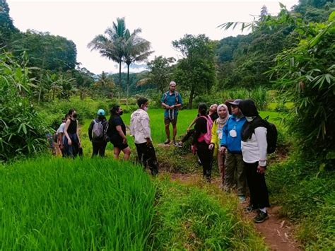 Tentang Kampung Ekowisata Ciwaluh