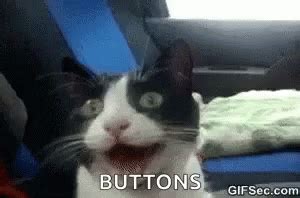 Funny Animals Buttons GIF - Funny Animals Buttons Cats - Discover ...