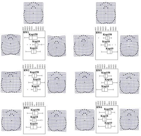 Summary Of Landmark Based Geometric Morphometric Analysis Showing The