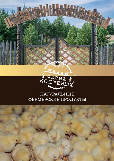 Calaméo - Брошюра Ферма Коптевых