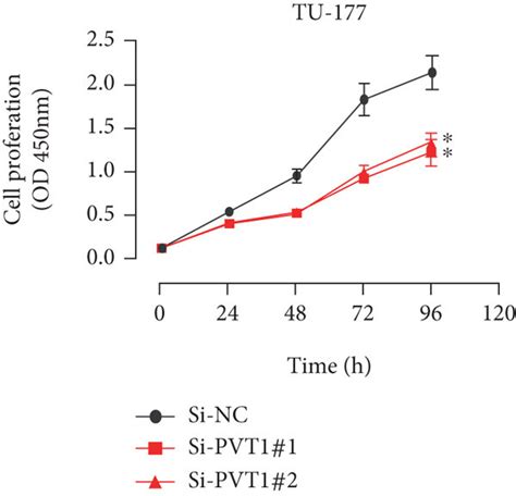 The Functional Role Of LncRNA PVT1 In LSCC Progression A The