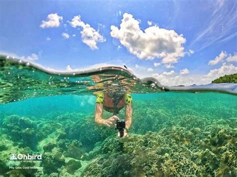 Private Snorkeling Trip To Half Moon Reef Coral Mountain In Phu Quoc