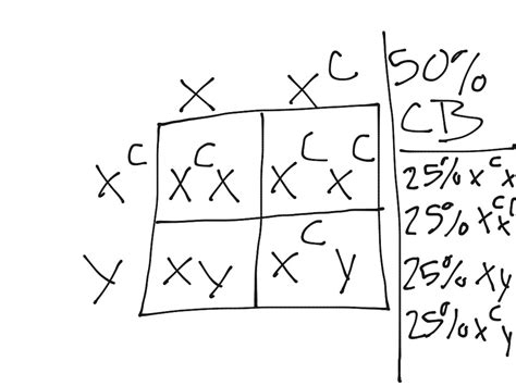 Punnett Square Eye Color Chart