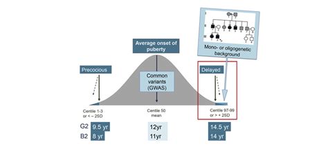 Understanding Delayed Puberty: Causes, Symptoms & Treatment Options