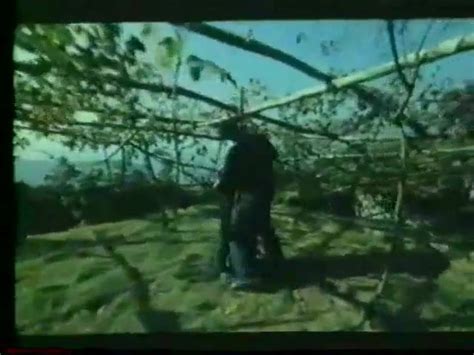 Les Petites Garces Vintage Vintage Porn XHamster