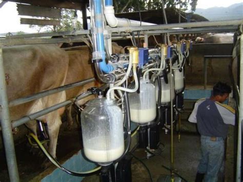 Industriales De Leche Solicitan Reglas Justas Para El Pago De Los