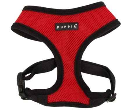 The 11 Best Dog Harnesses