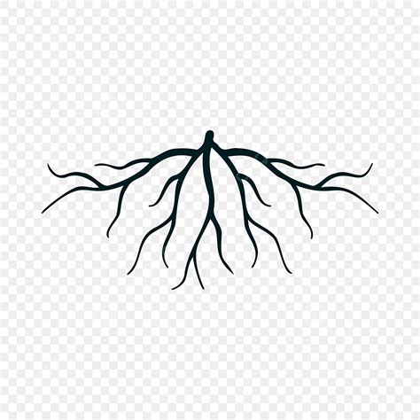 Vector De Plantilla De Dise O De Icono De Rbol De Ra Z Aislado Png