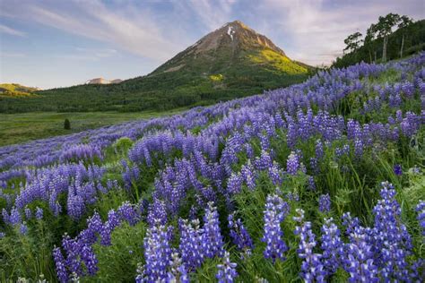 Hiking in Colorado – Colorado Hiking Trails | Colorado.com